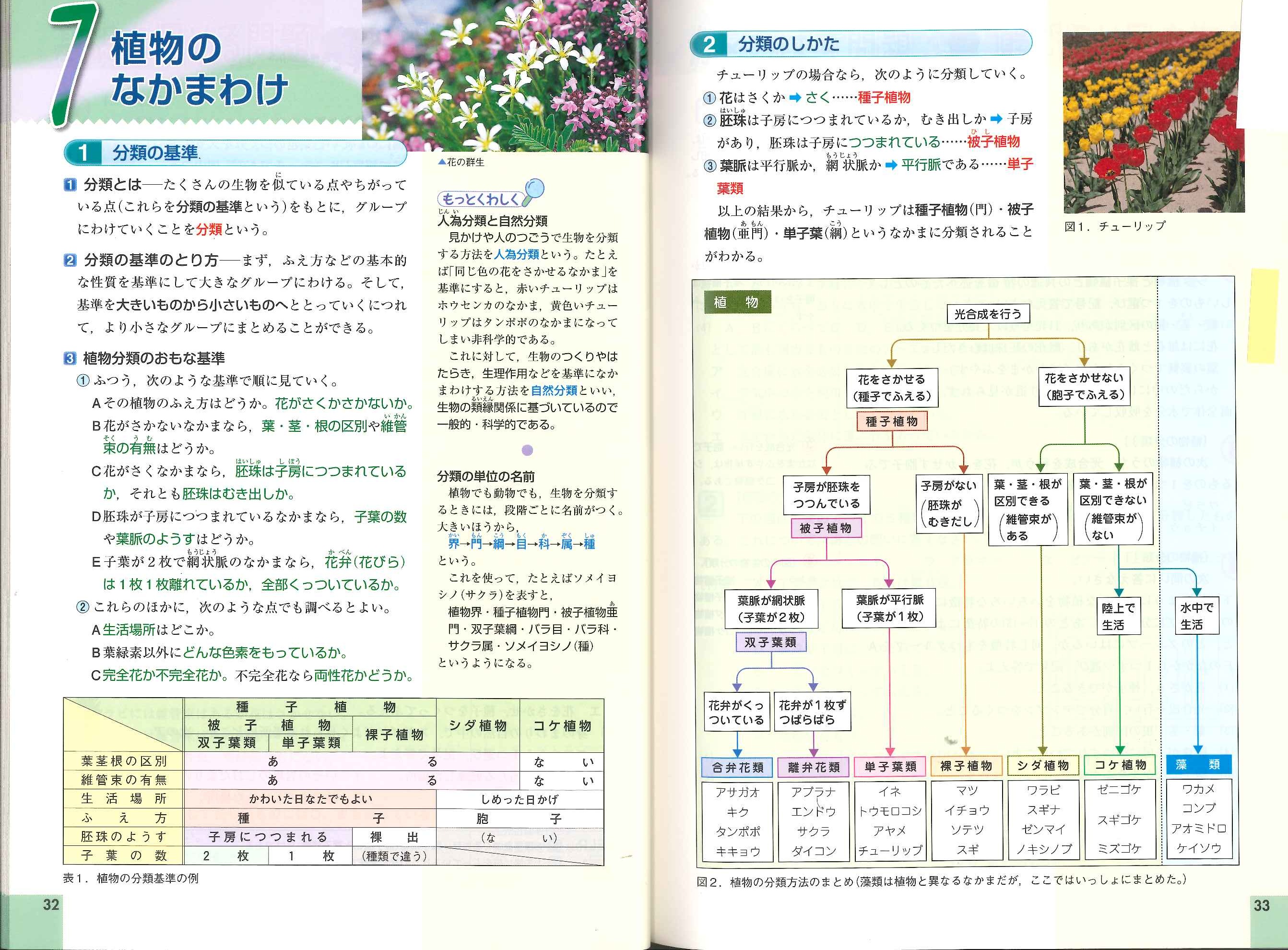 オープンの川